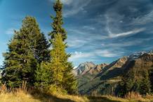 Impressionen Haus Flatscher Sommer